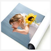 Poster Designing and Printing